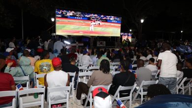 Foto de fanáticos apoyan a RD en el Clásico Mundial de Béisbol