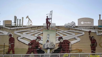 Foto de Alivio parcial del estrés máximo con Delcy Rodríguez