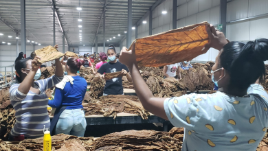 Foto de Exportaciones de zonas francas crecen 4,3% en el primer trimestre de 2026 – ACN (República Dominicana)