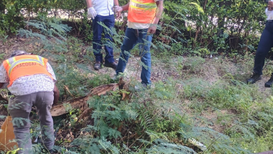 Foto de Programa de Salud Agropecuaria comienza a pagar más de RD$59 millones para técnicos y jornaleros – ACN (República Dominicana)