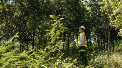 Foto de Camipard propone científicamente zonas de no minería en el Día de la Tierra – ACN (República Dominicana)