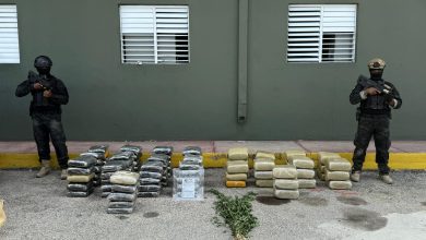 Foto de Ocupan más de 600 libras de presunta marihuana en Elías Piña