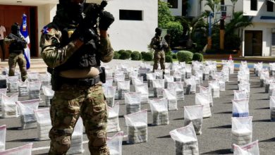 Foto de La DEA participó en incautación de cocaína en Pedernales