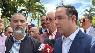 Foto de El PLD dice respeta decisión candidaturas independientes |  ACN