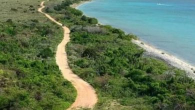 Foto de Frente Amplio dijo que protegerá los límites del Parque Nacional de Zaragoza  ACN