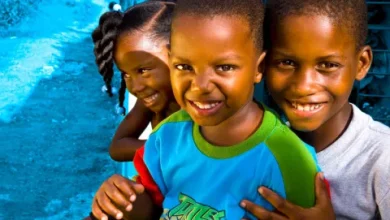 Foto de Presentan borrador de reforma a Ley 136-03