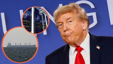 Foto de Trump vuelve a atacar a la OTAN; Tilda como tigre de papel  ACN