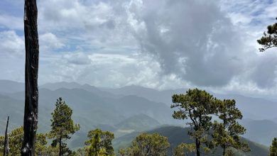 Foto de Autoridades activan protocolo de prevención
