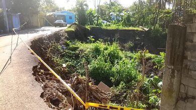 Foto de Denuncian calle a punto de colapsar en Pedro Brand