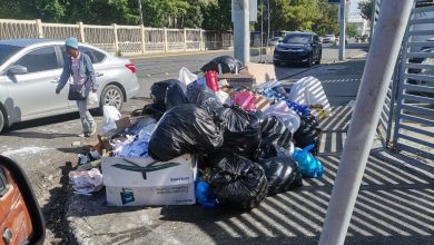 Foto de Regidor denuncia crisis de basura en la Zona Universitaria del DN