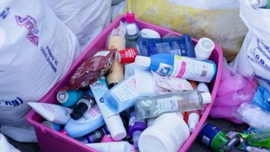 Foto de Incautan productos ilícitos y toneladas de carne en descomposición