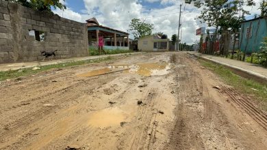 Foto de Exigen terminación de calles y aceras en Monte Plata