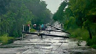 Foto de Envían ayuda zonas afectadas por ventarrón en Sánchez Ramírez