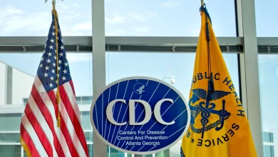 Foto de Los CDC advierten sobre un brote de salmonelosis  ACN los pollos domésticos