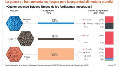 Foto de La guerra pone en riesgo la seguridad alimentaria
