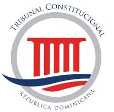 Foto de El Tribunal Constitucional y el Sistema Electoral y de Partidos (Mat).  ACN