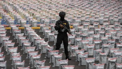 Foto de Se incautaron más de 3.300 armas y 56 toneladas de droga en América Latina
