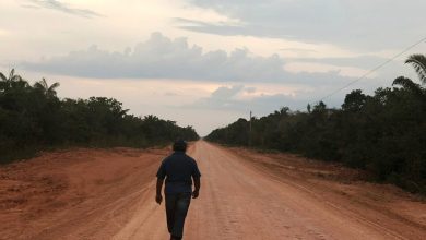 Foto de Brasil avanza una carretera que cruza el Amazonas y levanta advertencias sobre deforestación