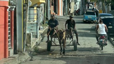 Foto de Aunque hoy quedan pocos en las calles, los caballos comerciales de la capital han desaparecido.