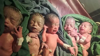 Foto de La mujer logró quedar embarazada después de 12 años de intentarlo y dio a luz a quintillizos