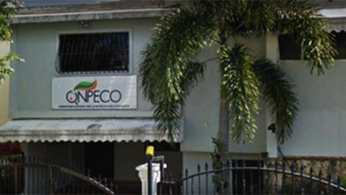Foto de Onpeco impulsa alianza para impulsar el comercio justo en Azua – ACN (República Dominicana)