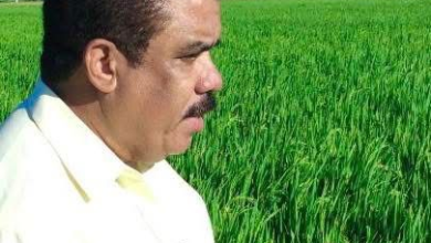 Foto de Sánchez Roa pidió al presidente Abinadar escuchar a los comerciantes fronterizos que enfrentan pérdidas por los “puertos secos”.