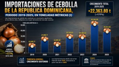 Foto de Cosechas sin mercado: cebollas y habichuelas se pudren en almacenes mientras aumentan las importaciones
