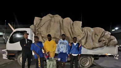 Foto de Detienen camión que transportaba haitianos