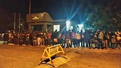 Foto de Ejército detiene 73 haitianos indocumentados en Dajabón