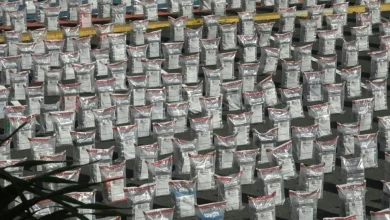Foto de Interpol incautó 3.300 armas y 56 toneladas de droga en América Latina