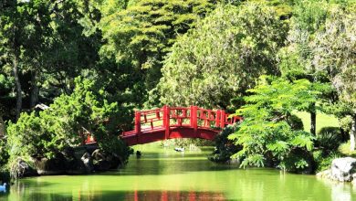 Foto de El Jardín Botánico celebrará este viernes Caminata Ecológica