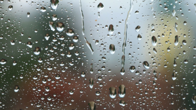 Foto de Corpus Christi con lluvias, tormentas y calor: estas son las provincias pronosticadas
