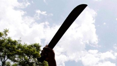 Foto de Mujer herida con arma blanca tras presunta agresión de su expareja en Los Alcárizos