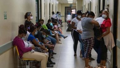 Foto de Leptospirosis en aumento: 115 casos confirmados en sólo cinco meses