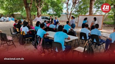 Foto de ¡Debajo del árbol! Así toman clases los alumnos de Las Matas de Farfán