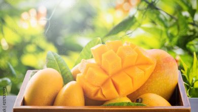 Foto de Del árbol a la mesa: Beneficios del mango y recetas que aprovechan la carambola