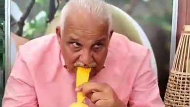 Foto de Ni siquiera Jaime David se resistió: lo pillaron comiendo mangos en el conejito y se comparó con "un monito del zoológico".