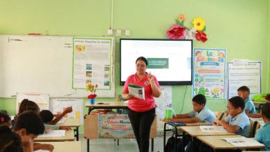 Foto de ¿Qué preparativos deberían hacer los profesores ahora?