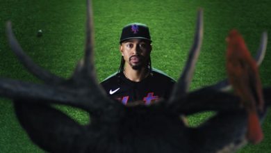 Foto de El extraño incidente de Francisco Lindor en el Citi Field