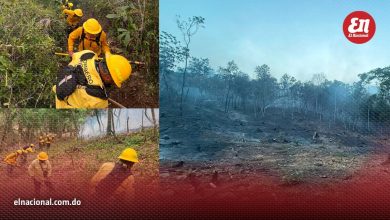 Foto de Más de 40 bomberos controlaron el incendio forestal de Bonao tras varias horas