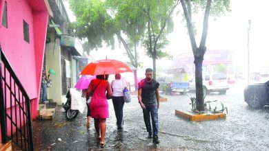 Foto de Precipitaciones aumentarán en 10 provincias por Baguaba y ondas tropicales