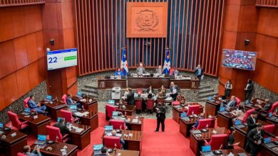 Foto de Los diputados aprobaron el "plan de mitigación de la crisis" presentado por el gobierno