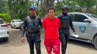 Foto de Detenciones por asesinato y microtráfico