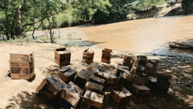 Foto de Incautaron 174 envases de aceite de motor a Elías Pina
