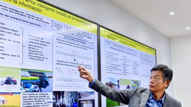 Foto de El Bagrícola y JICA presentaron proyecto para fortalecer la producción de arroz en el país