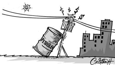 Foto de Sector excluido