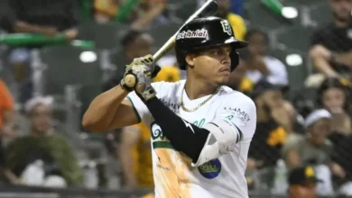 Foto de Los White Sox han promovido al junior dominicano Pérez a las ligas mayores