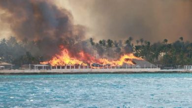 Foto de Esto afecta las instalaciones del Hotel Viva Dominicus Beach en Bayahibe