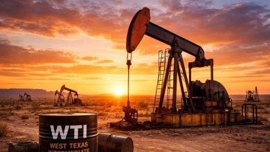 Foto de Plan anticrisis tras el colapso del petróleo