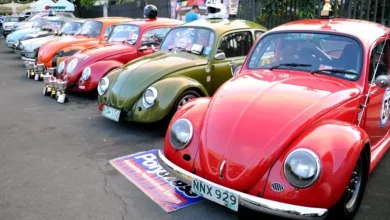 Foto de "Carrito de cepillos": La historia del Volkswagen Escarabajo que conquistó el mundo